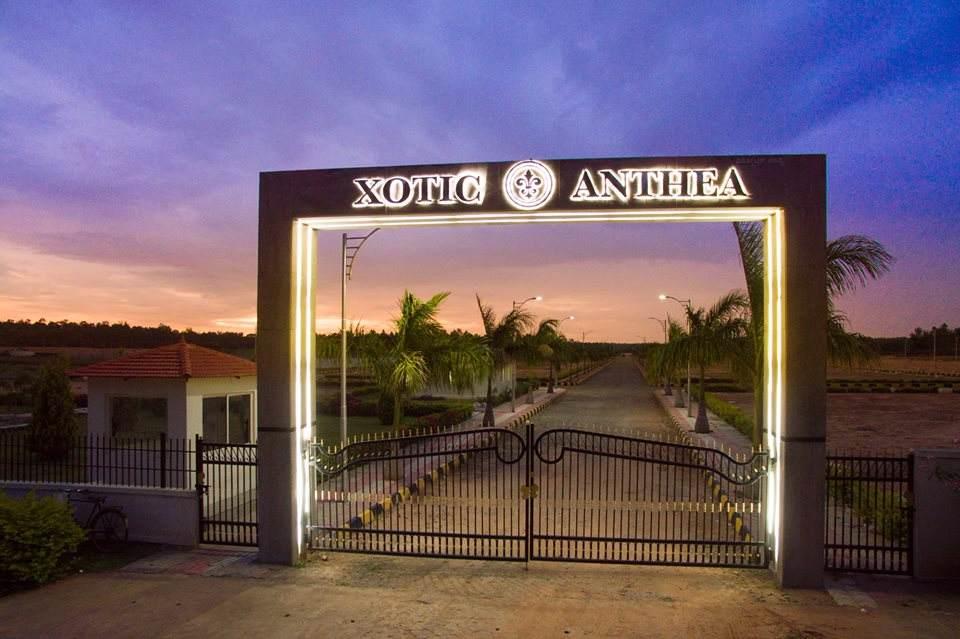  Xotic Anthea Home Loan