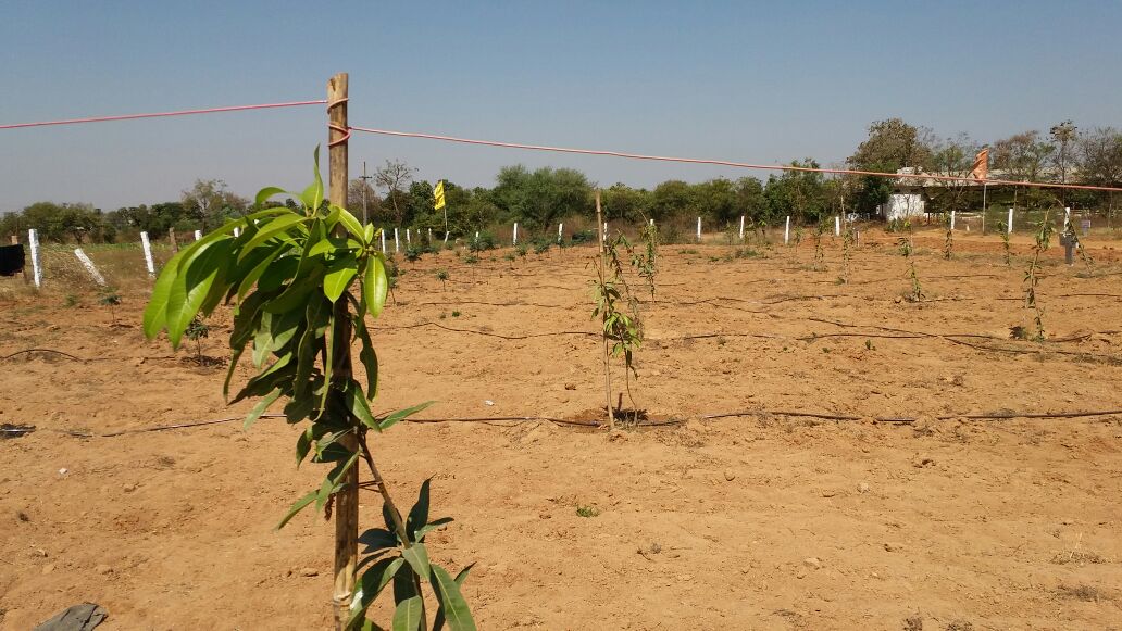 Farm Acers