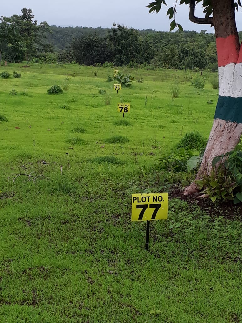 vrindavan garden