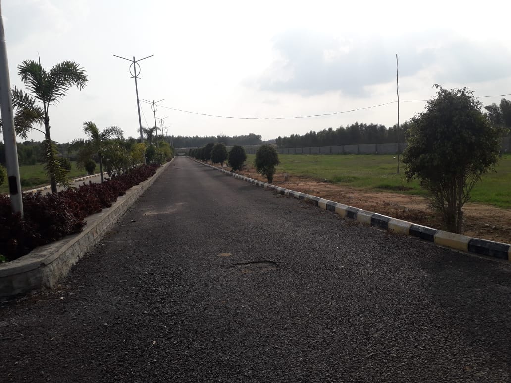 Akshaya quiet lands