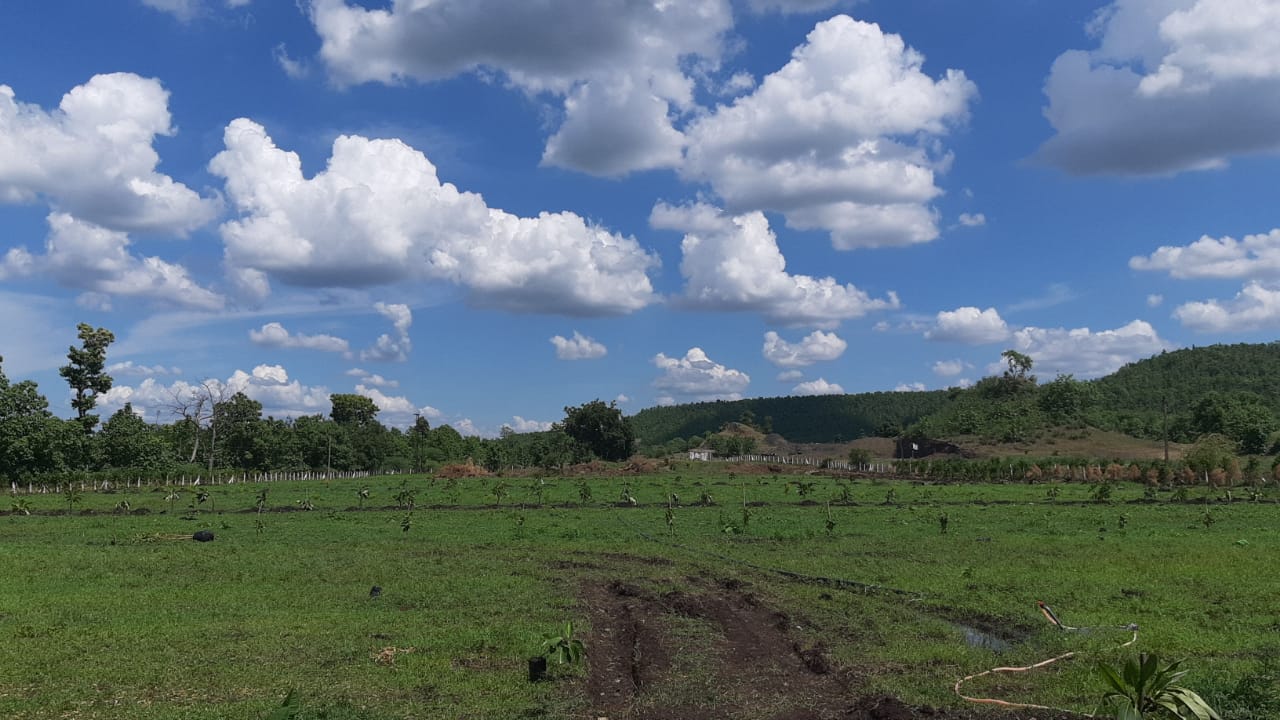 khandwa road choral