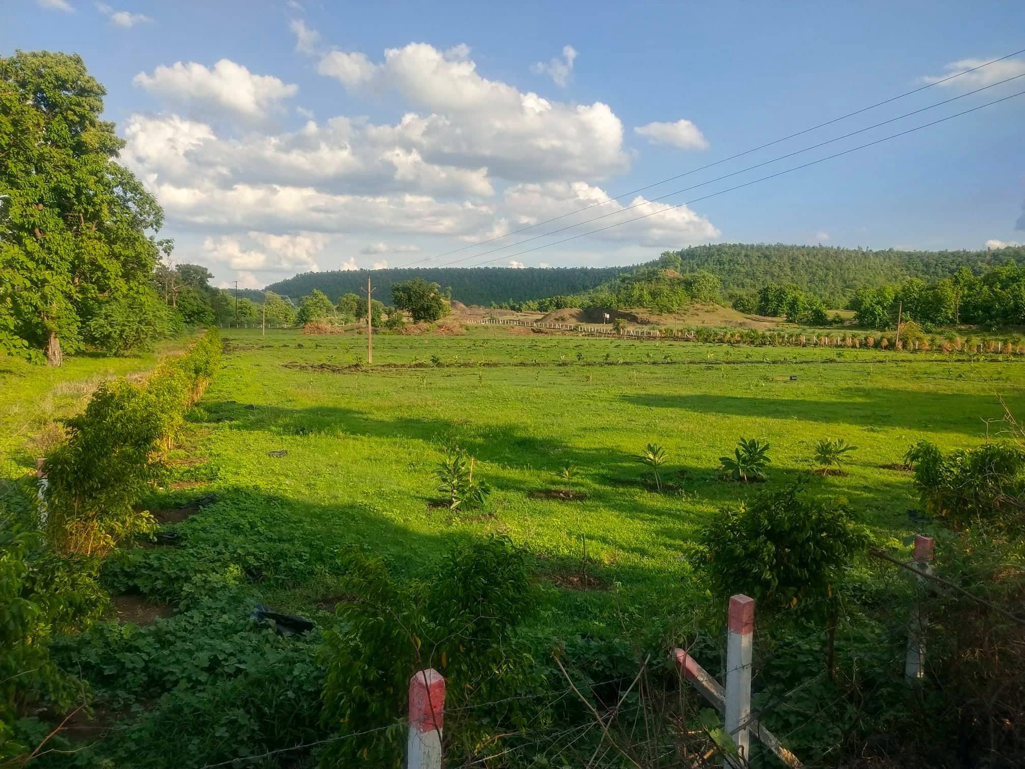 khandwa road choral