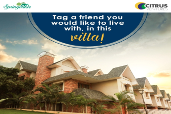 Enjoy your stay at luxurious and beautiful villa at Citrus Springvillae