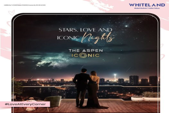 Whiteland Presents The Aspen Iconic: Where Stars, Love, and Iconic Nights Merge in Gurugram