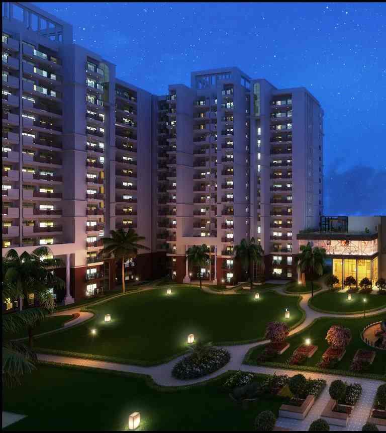 Tulsiani Urban Woods Image