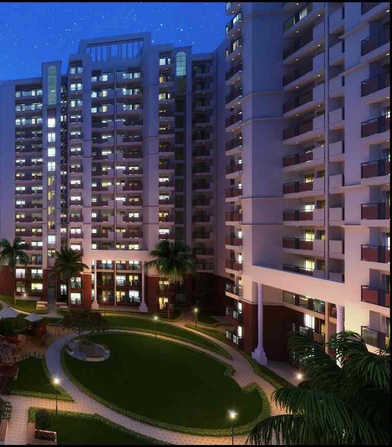 Tulsiani Urban Woods Image