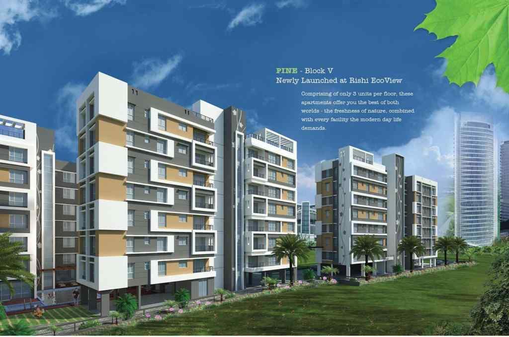 Modern Rishi Ecoview Image