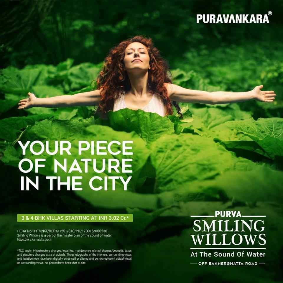 Purva Smiling Willows Image