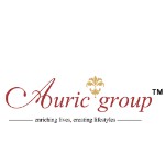   Auric Infraprojects Ltd