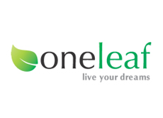   One Leaf Group