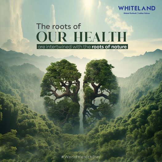 Whiteland Corporation: Embracing Wellness through Nature-Inspired Living Update