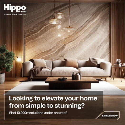 Hippo Homes: Transforming Spaces from Simple to Stunning Update